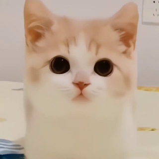Ivan