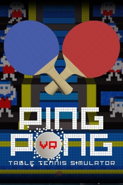 VR Ping Pong
