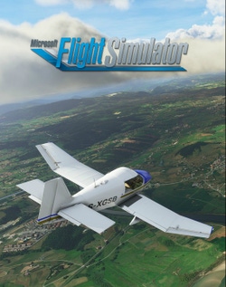 Microsoft Flight Simulator